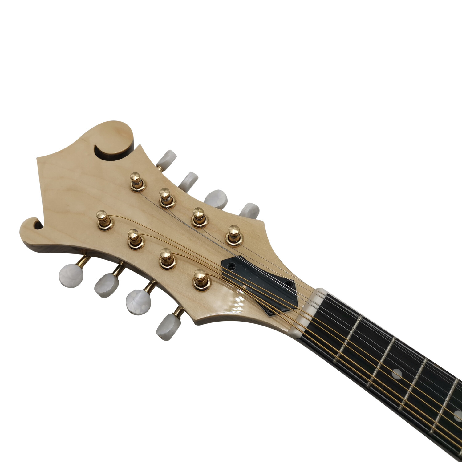 Mandolina Afanti Solid Zebrawood Gloss Natural color F