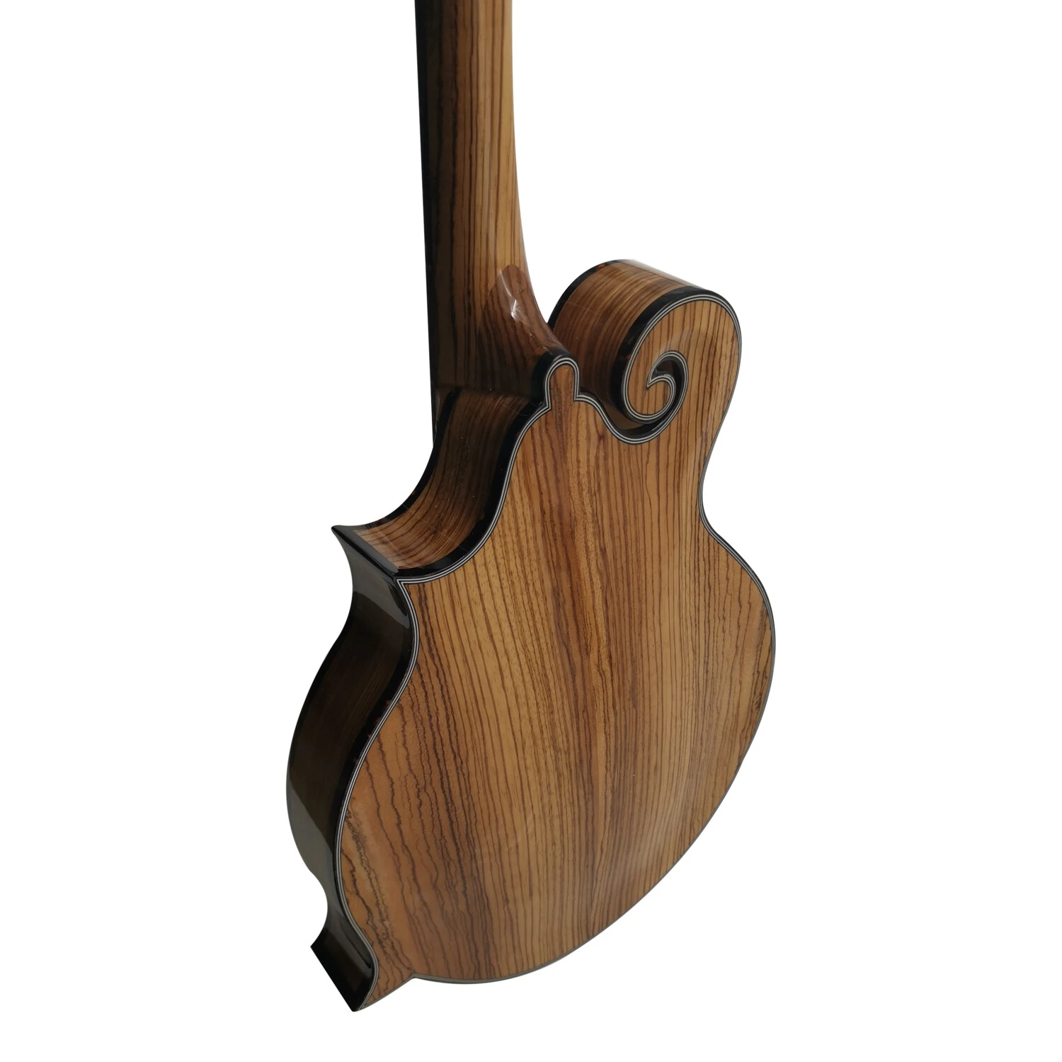 Mandolina Afanti Solid Zebrawood Gloss Natural color F