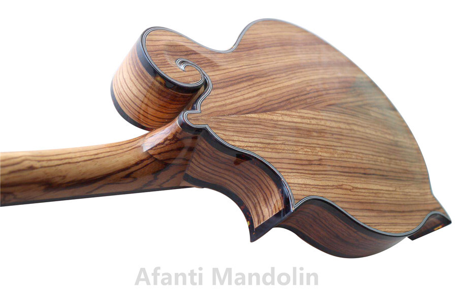 Mandolina Afanti Solid Zebrawood Gloss Natural color F