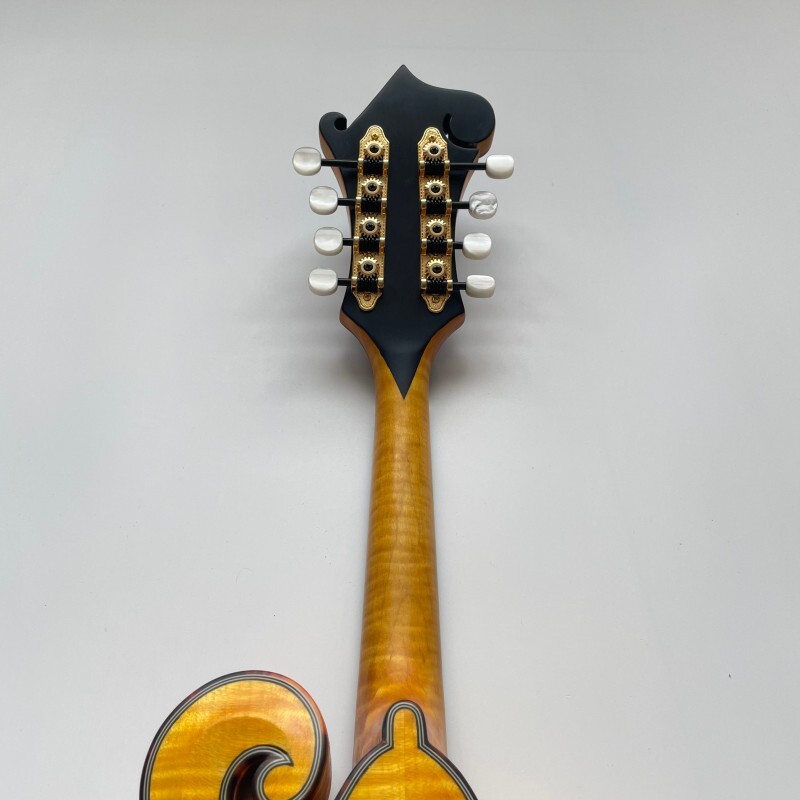 Instrumento Musical Mandolina Estilo F con Color Goldrush