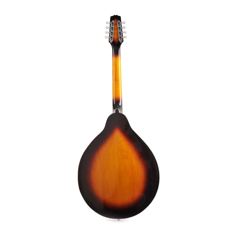 Cuerpo de madera maciza con tapa de abeto tallada Mandocello estilo A