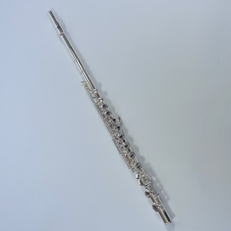 Afanti 16 Agujero Cerrado Llave Plateada con Tapa de Flor Grabada Flauta