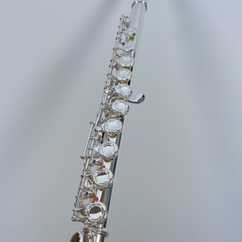 Afanti 16 Agujero Cerrado Llave Plateada con Tapa de Flor Grabada Flauta