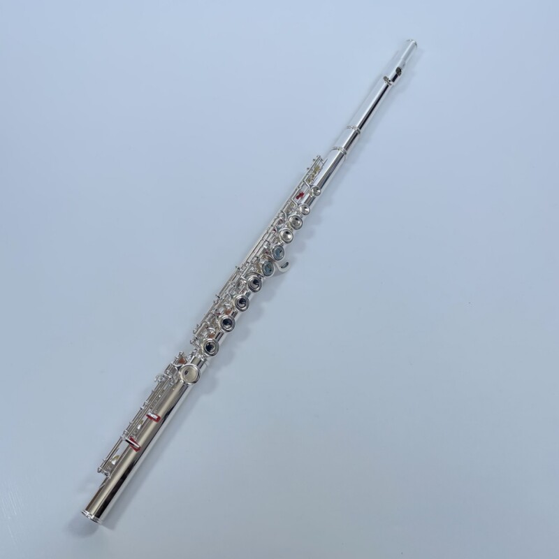Afanti Flauta con Cuerpo de Cuproníquel y Llave Plateada de 17 Agujeros Cerrados