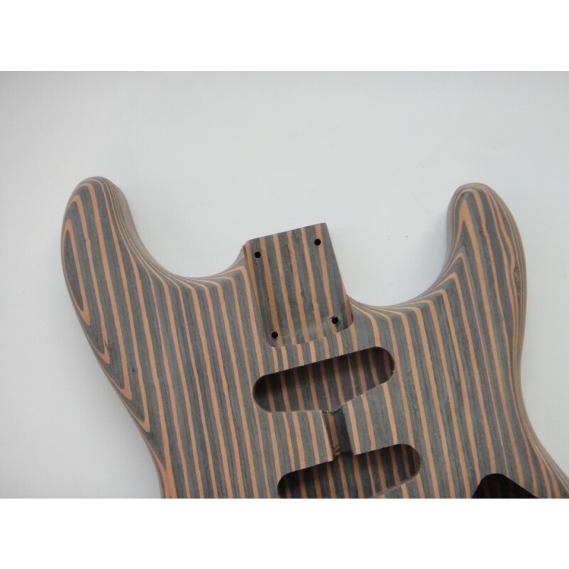 Kit de guitarra eléctrica Afanti Custom Zebrwood DIY St