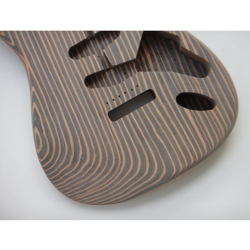 Kit de guitarra eléctrica Afanti Custom Zebrwood DIY St