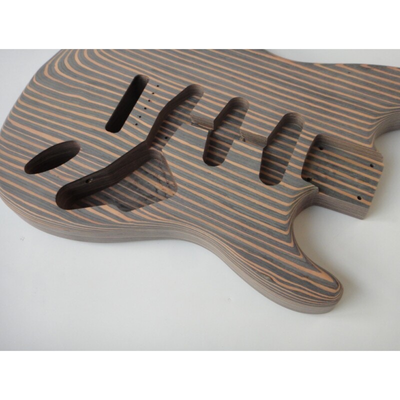 Kit de guitarra eléctrica Afanti Custom Zebrwood DIY St