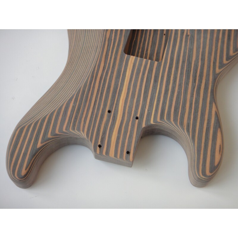 Kit de guitarra eléctrica Afanti Custom Zebrwood DIY St