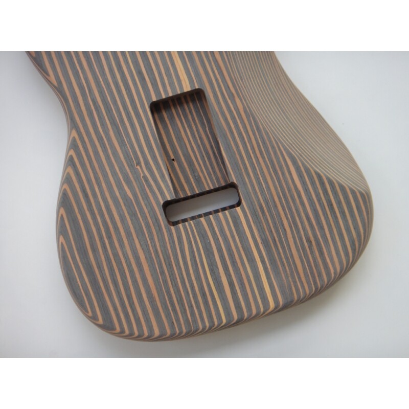 Kit de guitarra eléctrica Afanti Custom Zebrwood DIY St