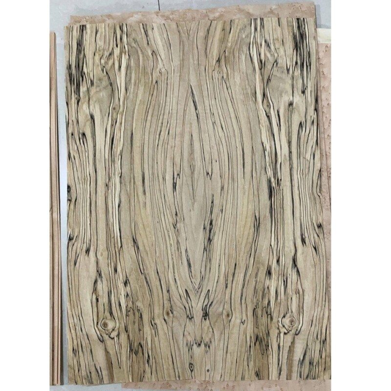 Chapa de guitarra Afanti Spalted Maple