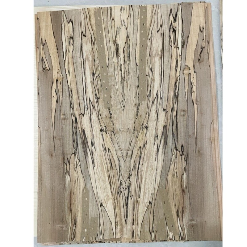 Chapa de guitarra Afanti Spalted Maple