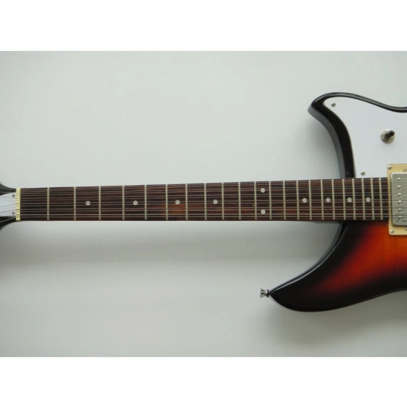 Afanti Guitarra eléctrica de 12 cuerdas con cuerpo de tilo y mástil de arce