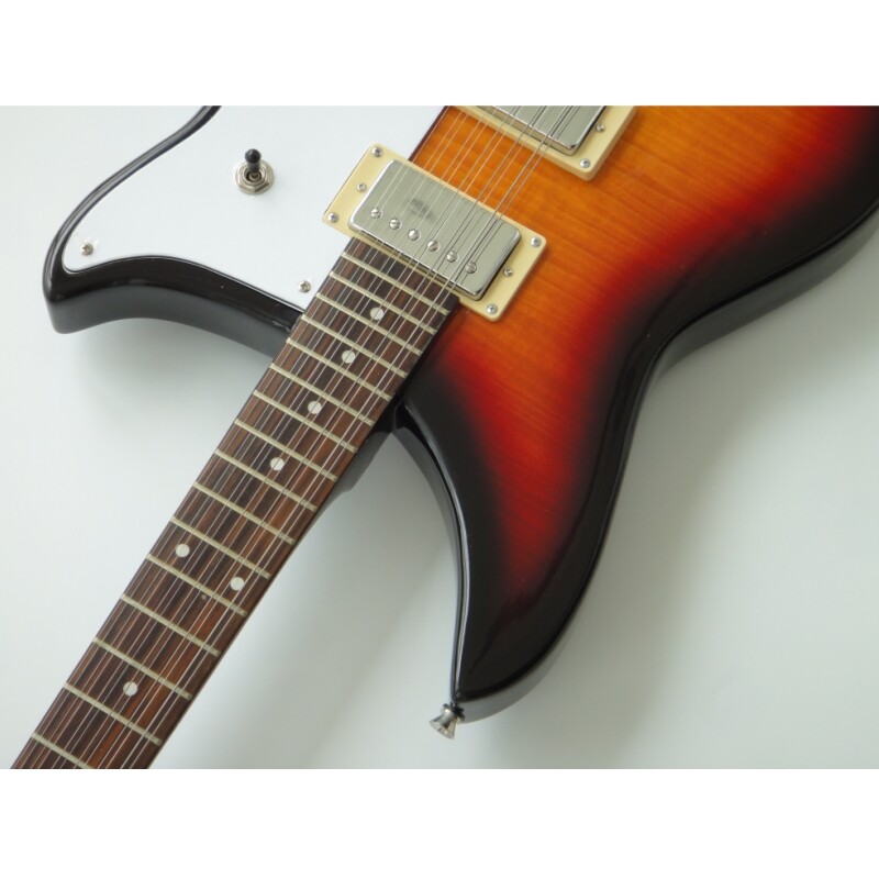 Afanti Guitarra eléctrica de 12 cuerdas con cuerpo de tilo y mástil de arce