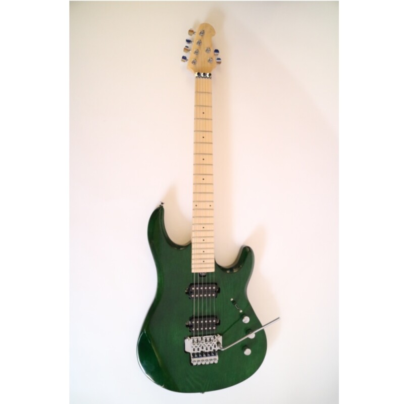 Afanti Customized 6 String Double Locking Tremolo Guitarra Eléctrica Color Verde