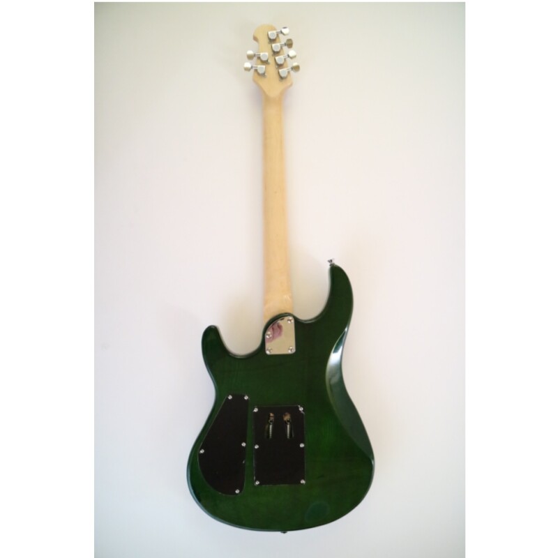 Afanti Customized 6 String Double Locking Tremolo Guitarra Eléctrica Color Verde