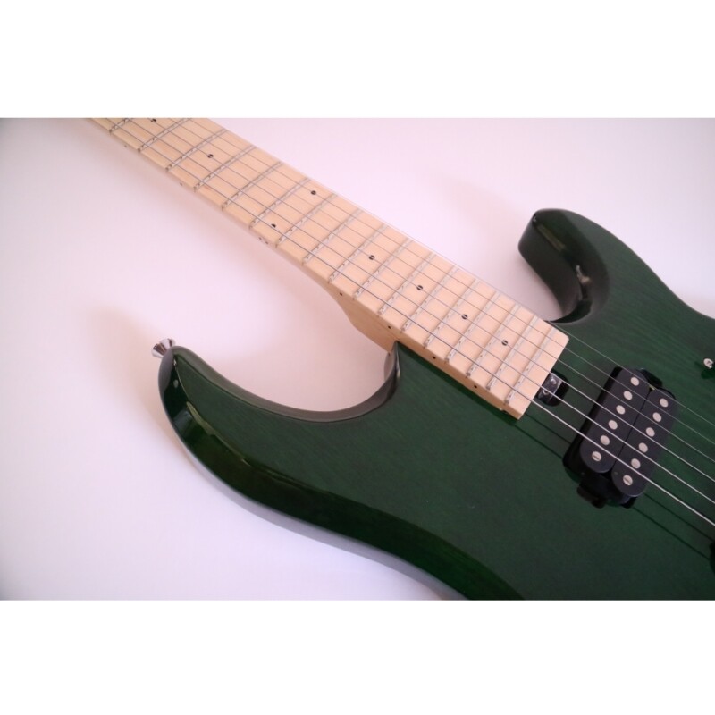 Afanti Customized 6 String Double Locking Tremolo Guitarra Eléctrica Color Verde