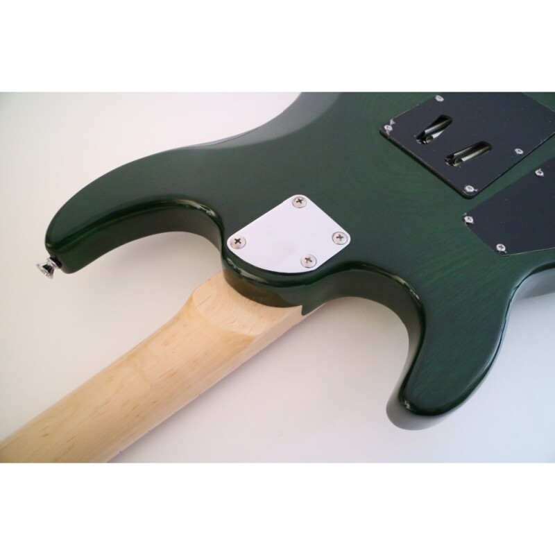 Afanti Customized 6 String Double Locking Tremolo Guitarra Eléctrica Color Verde