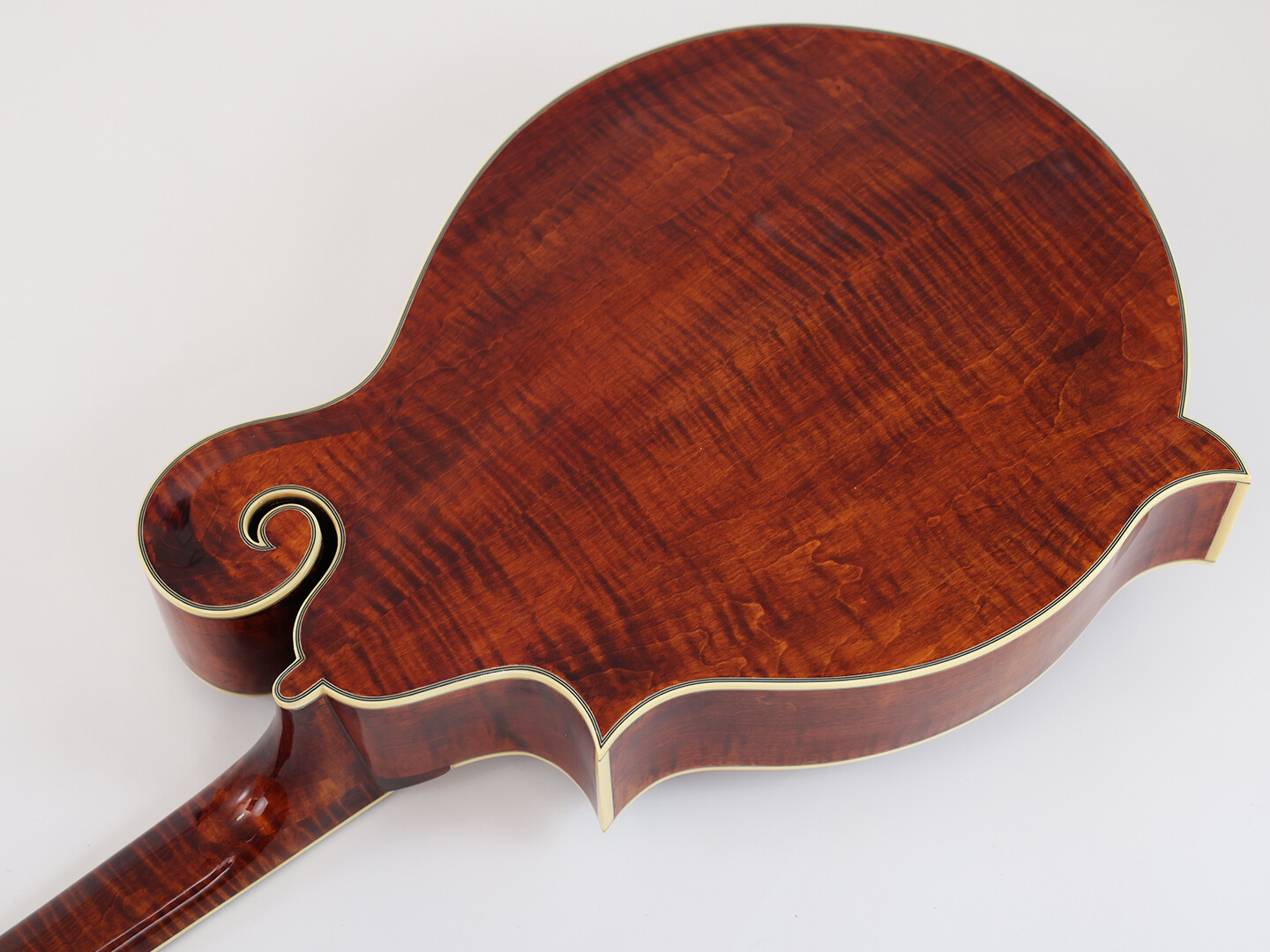 Afanti AA Tapa de Abeto Sólido Clásico Brillante Mandocello con Boca en F