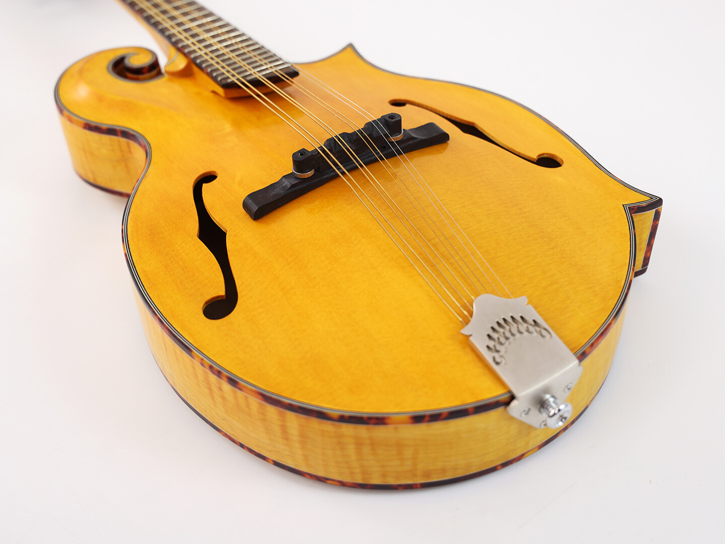 Afanti Goldrush Color Tapa Sólida de Abeto con Puente de Ébano F Mandola