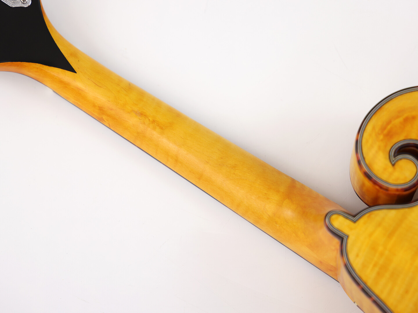 Afanti Goldrush Color Tapa Sólida de Abeto con Puente de Ébano F Mandola