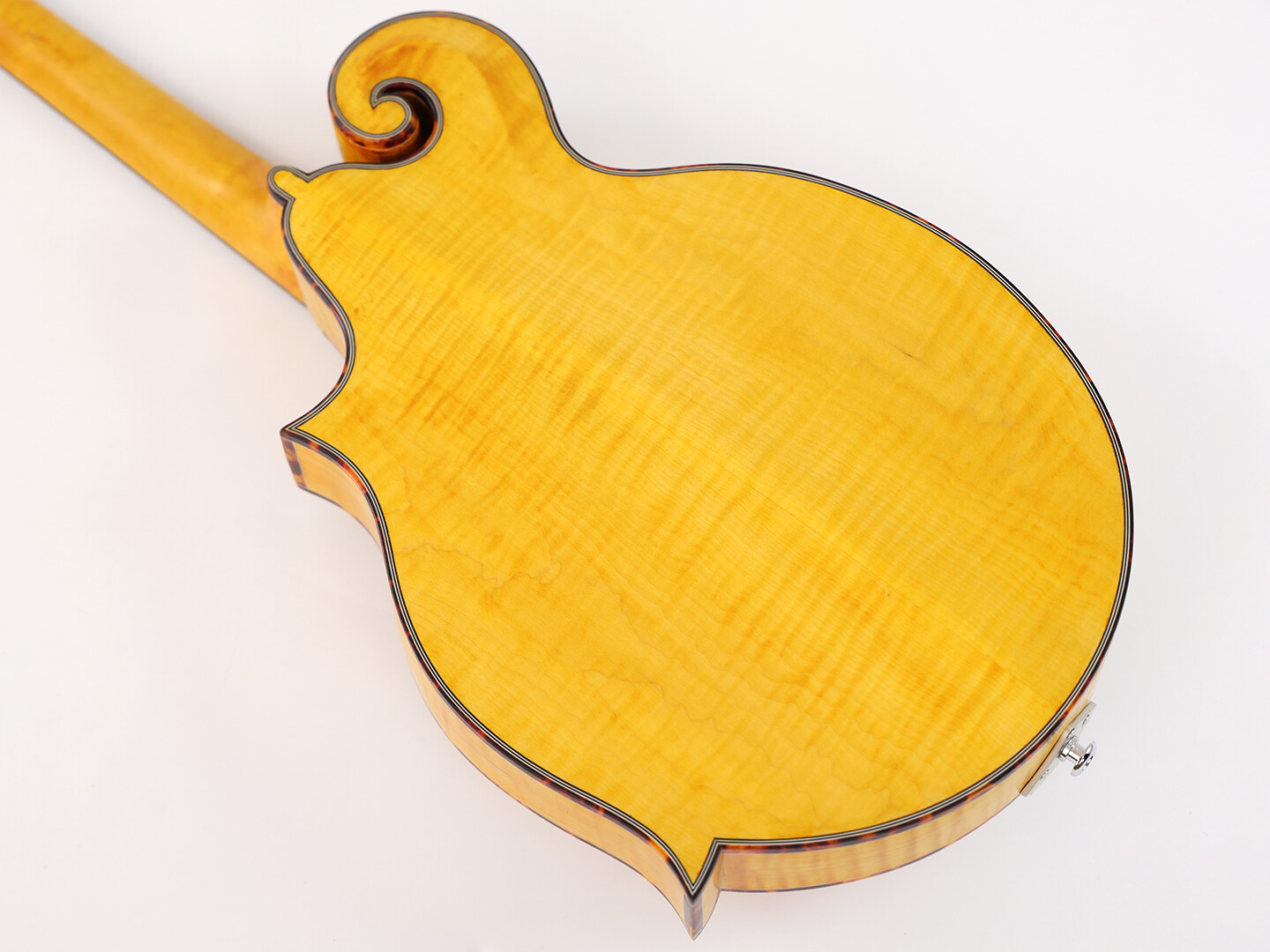 Afanti Goldrush Color Tapa Sólida de Abeto con Puente de Ébano F Mandola