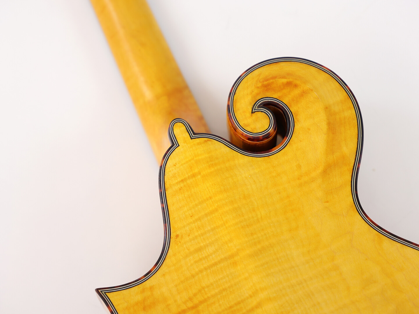 Afanti Goldrush Color Tapa Sólida de Abeto con Puente de Ébano F Mandola