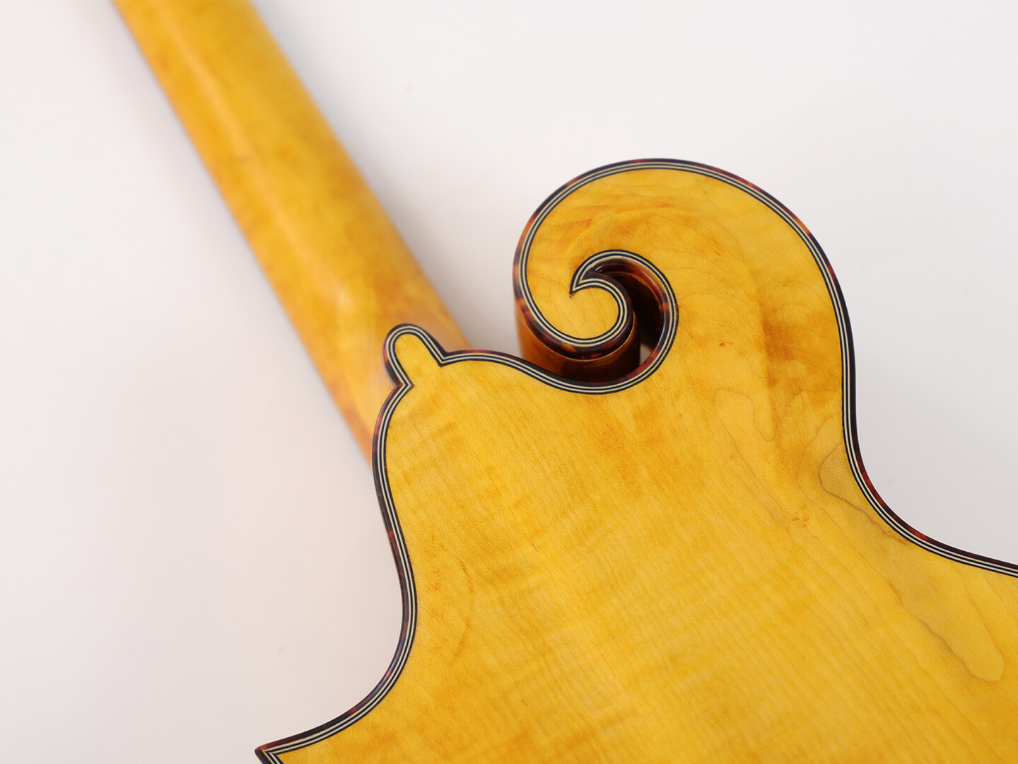 Afanti Mandola F con tapa de abeto macizo y diapasón de palosanto