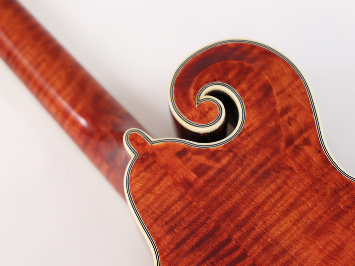 Mandola Afanti East Luthier Series AAA Solid Spruce Top F Style