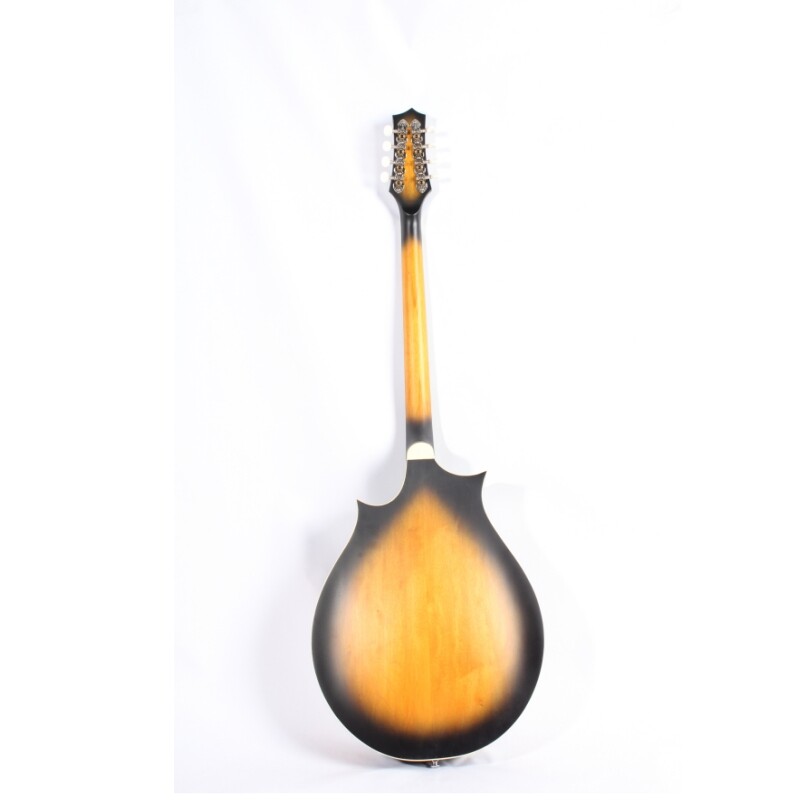 Mandolina Afanti Maple Back and Side Rosewood Fingerboard Oval Hole F