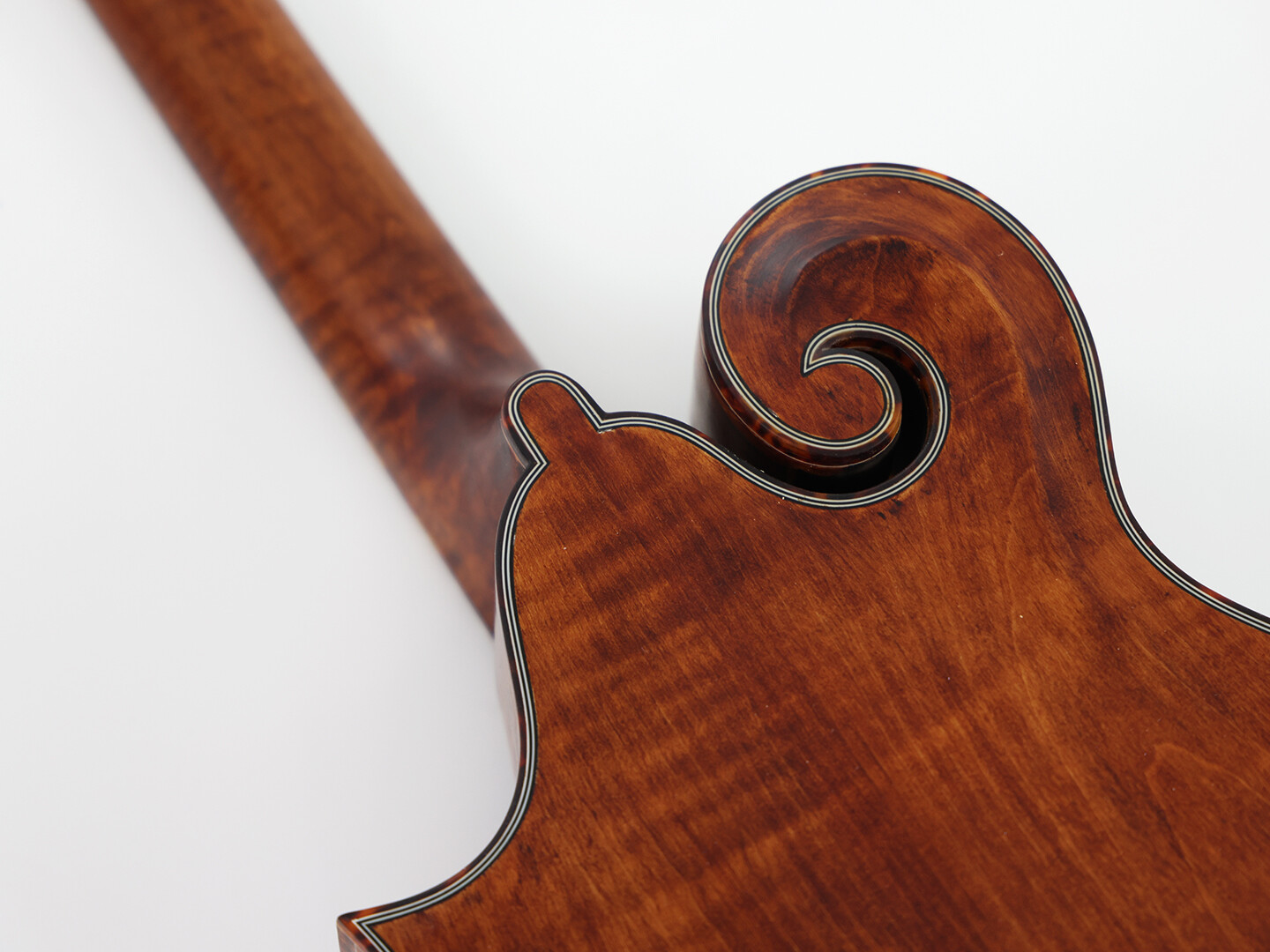 Mandolina de octava maciza marrón con fondo y laterales de arce flameado