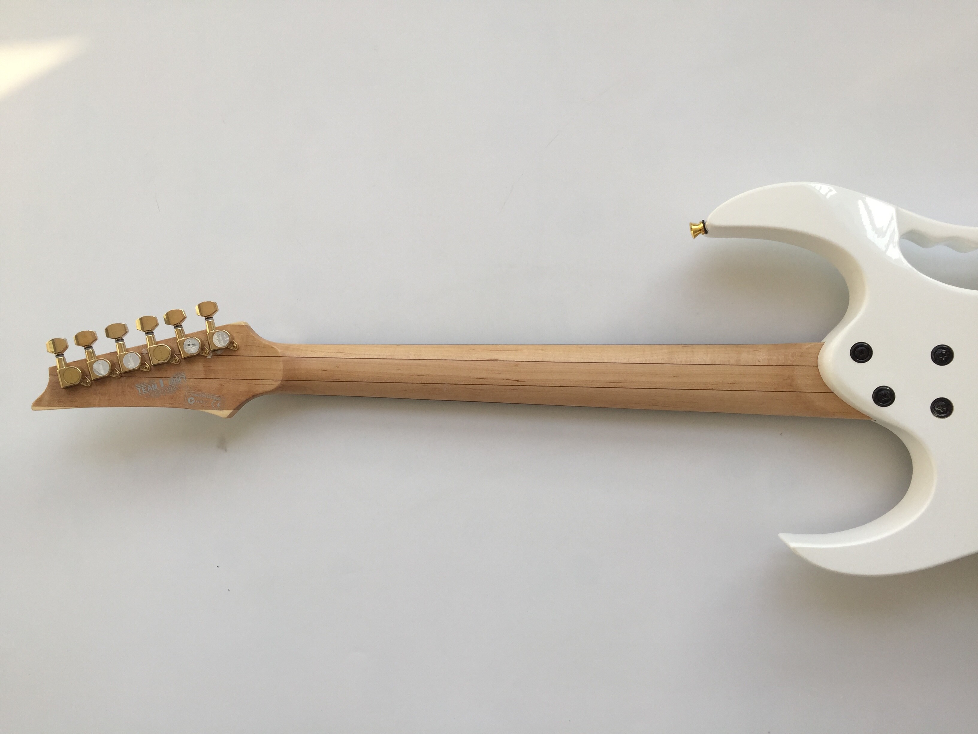 Afanti Guitarra Eléctrica Custom con Cuerpo de Tilo y Diapasón de Flores Incrustado