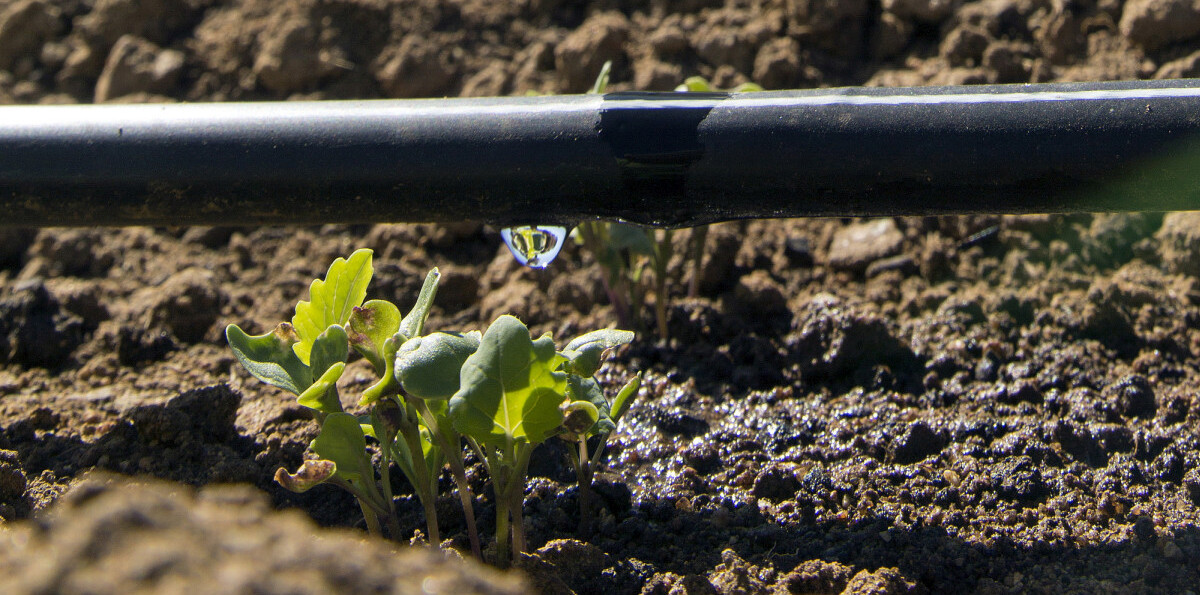 Ventajas de los métodos de riego ahorradores de agua Ventajas de los métodos de riego ahorradores de agua
