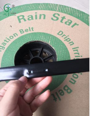 Cinta de microaspersión vs. cinta de goteo: diferencias, ventajas y beneficios para los cultivos Cinta de microaspersión vs. cinta de goteo: diferencias, ventajas y beneficios para los cultivos