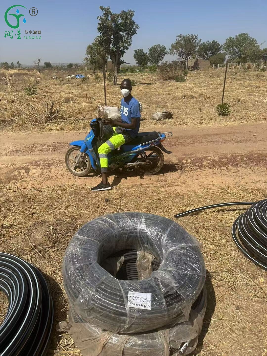 La aplicación del riego por goteo en el cultivo del café en el oeste de Camerún La aplicación del riego por goteo en el cultivo del café en el oeste de Camerún