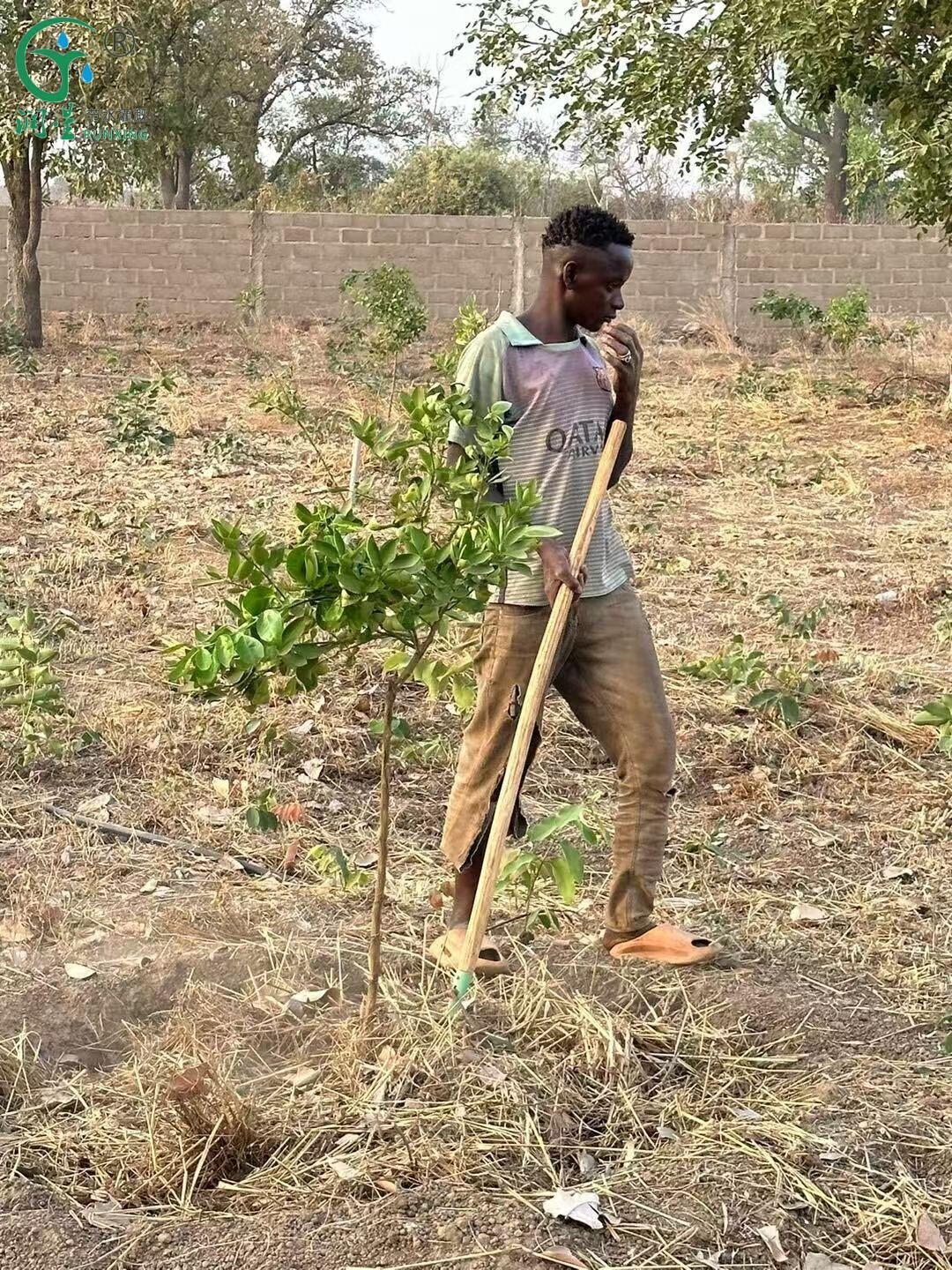 出口非洲素材2.jpg 出口非洲素材2.jpg