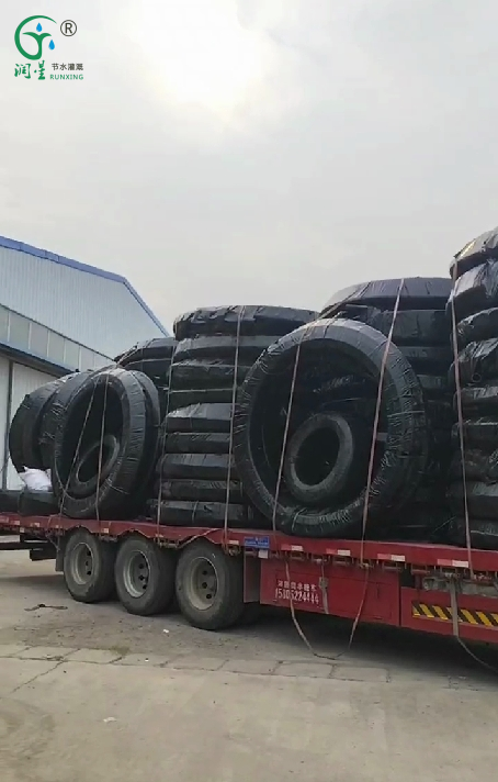 Riego eficiente de invernaderos: el Sr. Al Shamsi de Sharjah elige nuestras tuberías de riego por goteo Riego eficiente de invernaderos: el Sr. Al Shamsi de Sharjah elige nuestras tuberías de riego por goteo