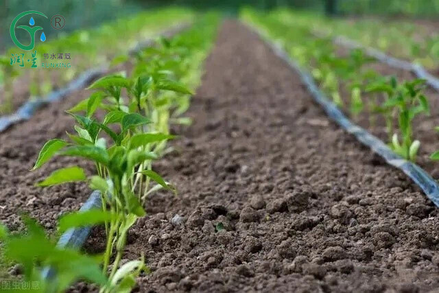 Mayorista Cinta de goteo agrícola