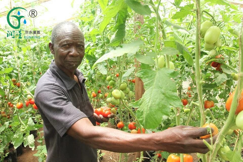 非洲素材2.jpg 非洲素材2.jpg