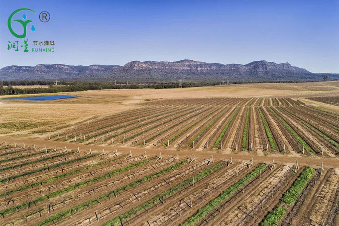 素材3.jpg 素材3.jpg