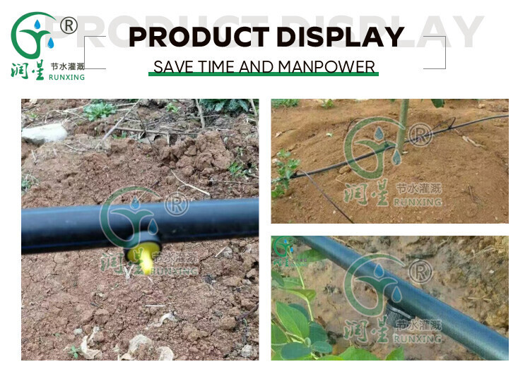 详情3.jpg 详情3.jpg