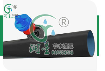 En el tubo exterior: gotero antigoteo y compensador de presión