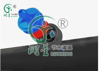 En el tubo exterior: gotero antigoteo y compensador de presión