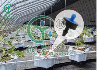 En el tubo exterior: gotero antigoteo y compensador de presión