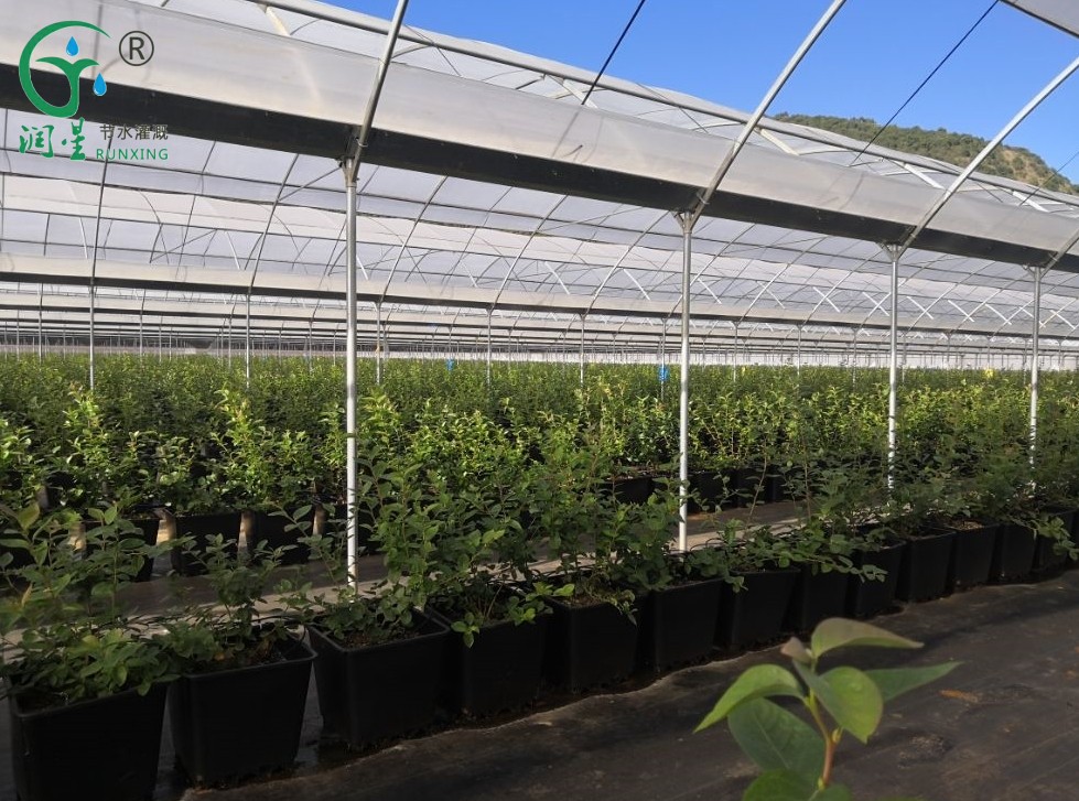 12345678.png 12345678.png