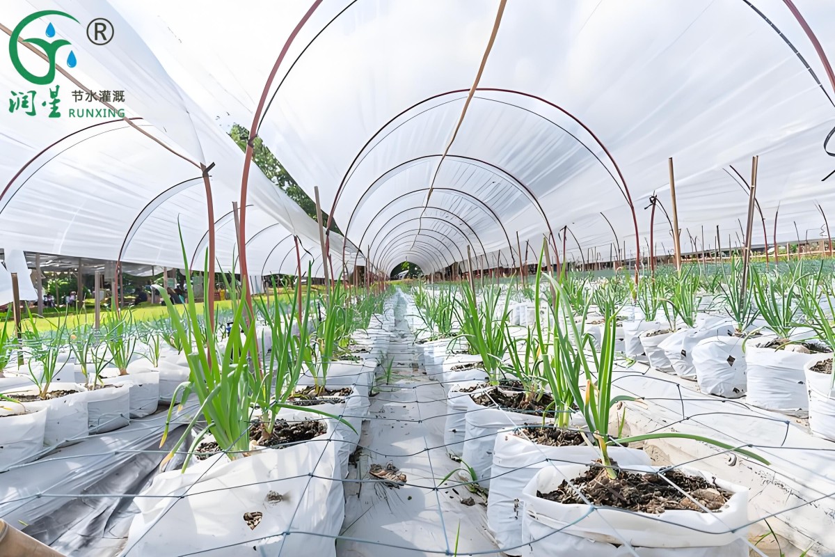 12345(1).jpg 12345(1).jpg