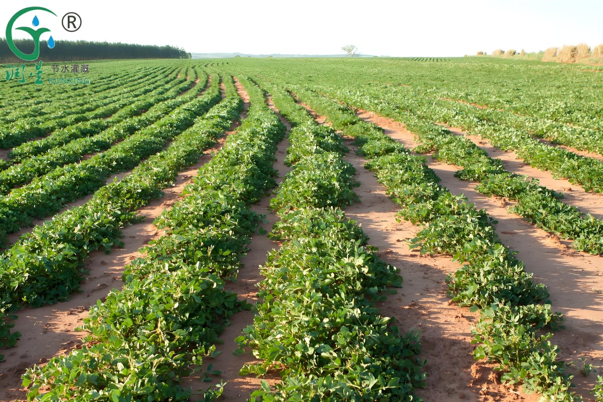 12345678.jpg 12345678.jpg