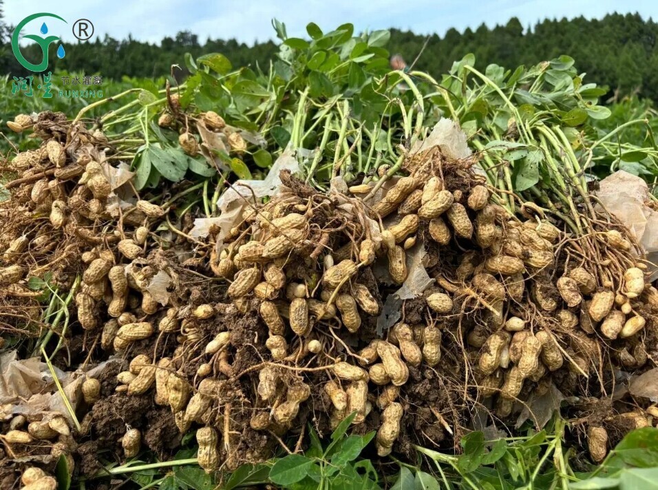 123456.jpg 123456.jpg