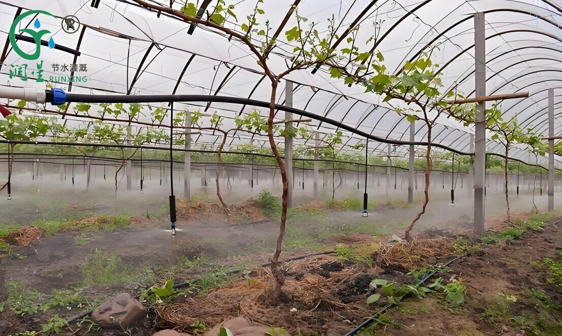 1234567.jpg 1234567.jpg