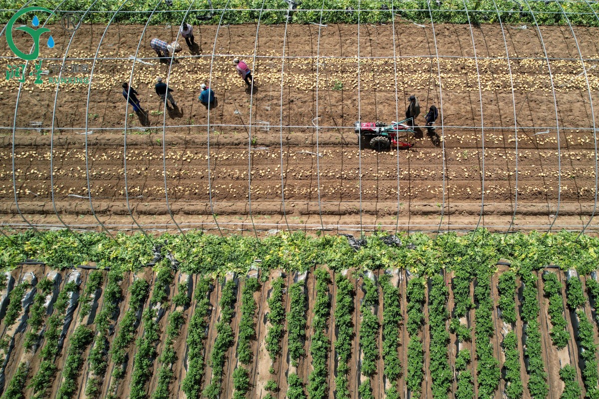 1234567.jpeg 1234567.jpeg