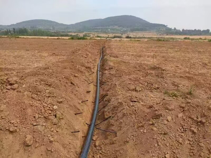 TerraCore™ Sistema de goteo subterráneo de 10 años